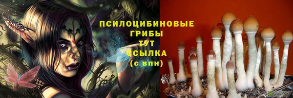Альфа ПВП Баксан